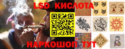jwh Будённовск