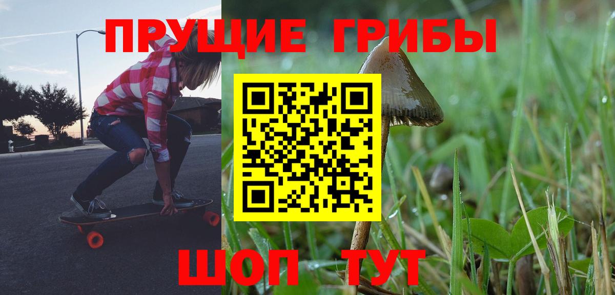 Галлюциногенные грибы Psilocybe  Вход с VPN  Можга 