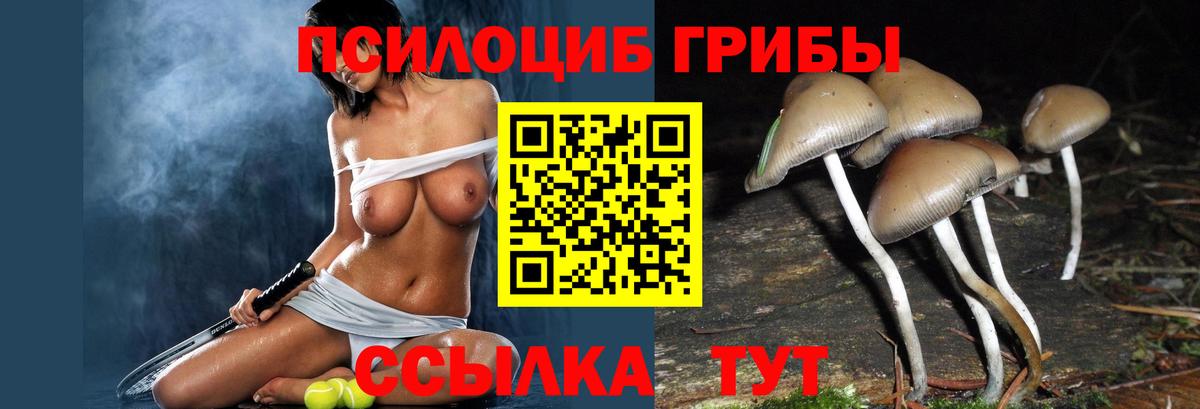 Псилоцибиновые грибы ЛСД Можга